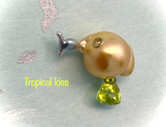Tropical kiss（トロピカルキッス） 1枚目の画像
