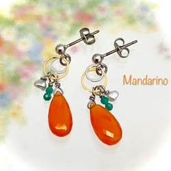 Mandarino（マンダリーノ） 1枚目の画像