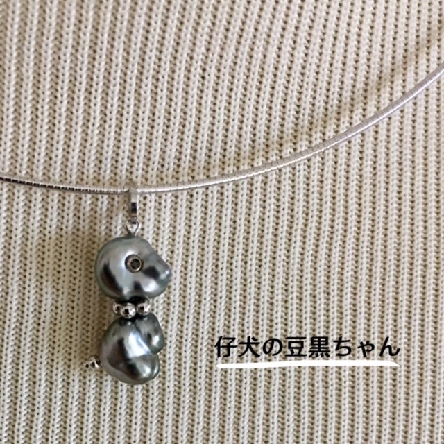 子犬の豆黒ちゃん