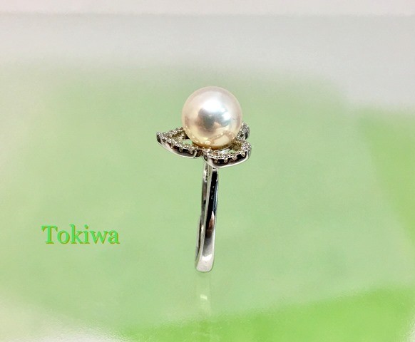 Tokiwa（トキワ）