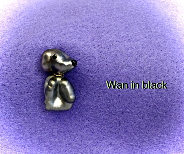 Wan in black（黒毛のワン）