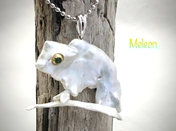 Meleon（雪色のメレオン） 1枚目の画像