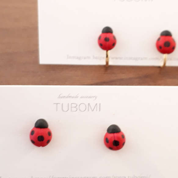 てんとう虫 ピアス A ピアス（スタッド・一粒） TUBOMI* 通販