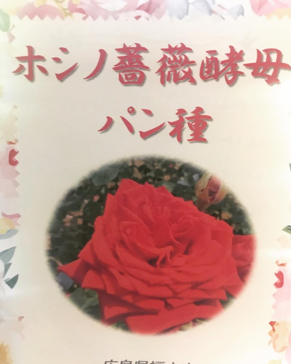 BUBOU SHOKUPAN [天然薔薇酵母葡萄食パン] 2枚目の画像