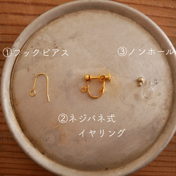 TouKa pierce/earring -nume- 5枚目の画像