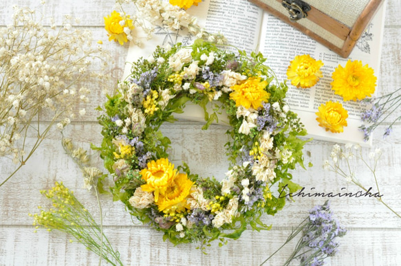 ✽母の日におすすめ✽✽自然を感じる✽ボタニカルリース✽【botanical wreath Msize ～yellow～】 1枚目の画像