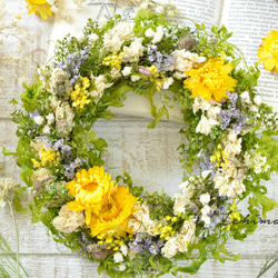 ✽母の日におすすめ✽✽自然を感じる✽ボタニカルリース✽【botanical wreath Msize ～yellow～】 2枚目の画像