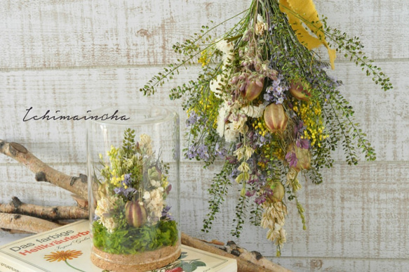 creema限定福袋　botanical flower set ～yellow～ 3枚目の画像