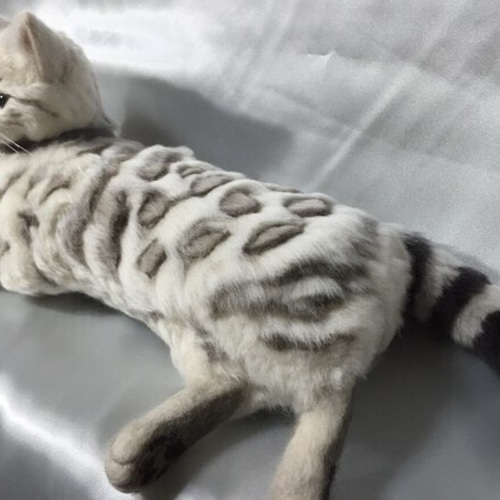 ベンガル猫作品 実物大② きりのみりい 羊毛フェルト | 羊毛