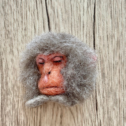 日本獼猴澀臉胸針 第1張的照片