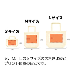  第5張的照片