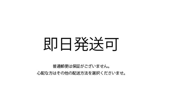 【送料無料】即日発送可 お得用10m マスクゴム(ホワイト) 2枚目の画像