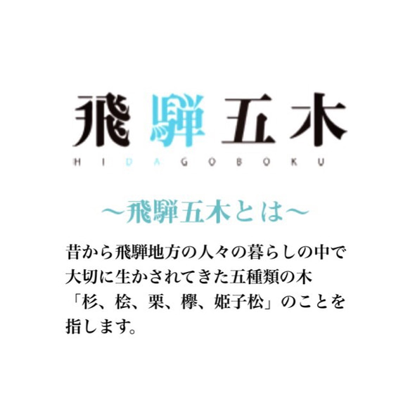 岐阜高山 飛騨五木 姫小松（ひめこまつ）の木 ボールペン 【送料無料】 5枚目の画像