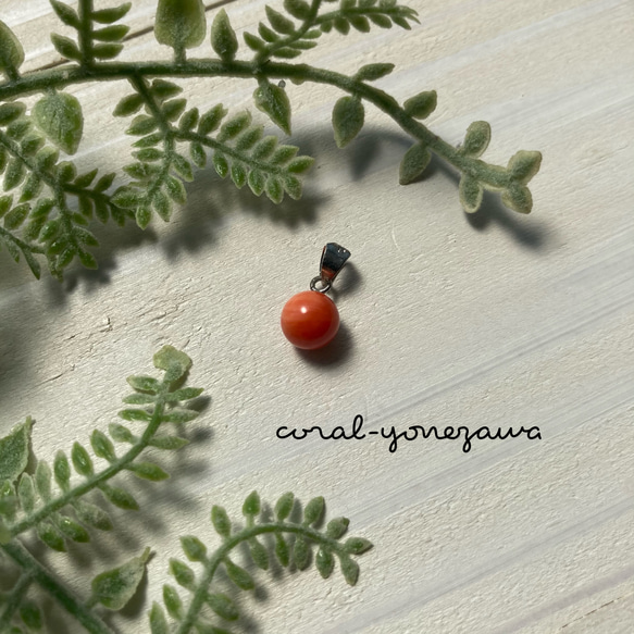 珊瑚まとめ 本珊瑚アクセサリー