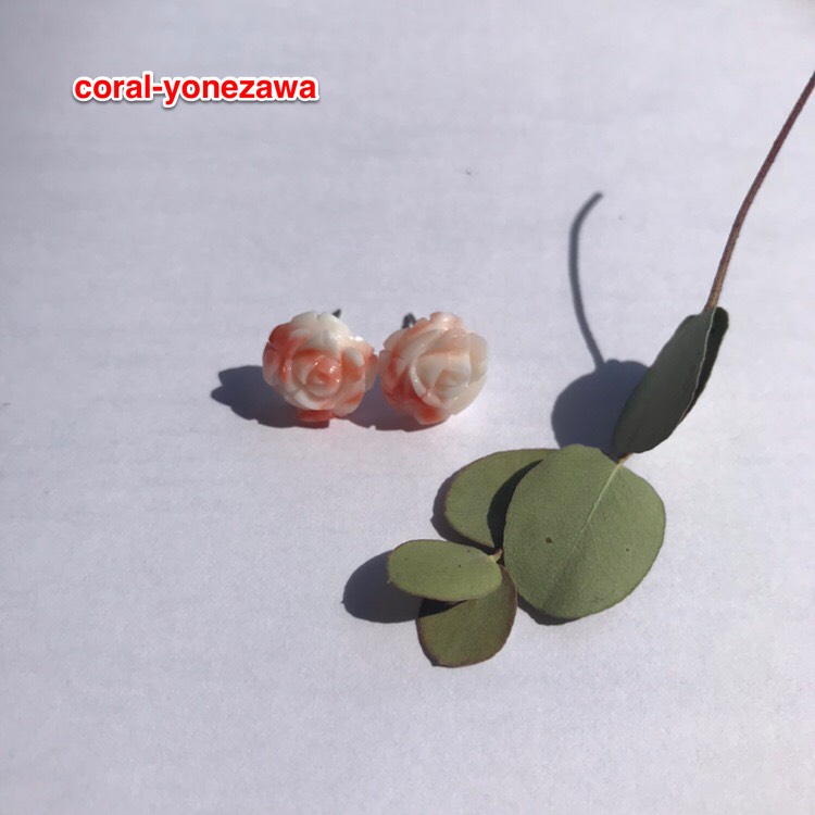 ピンク珊瑚【バラ】珊瑚のある暮らし☆