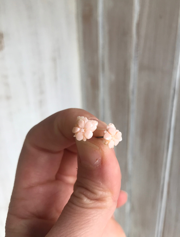 アウトレット品珊瑚ピアス.SALE♪桜.サクラ.sakura. 5枚目の画像
