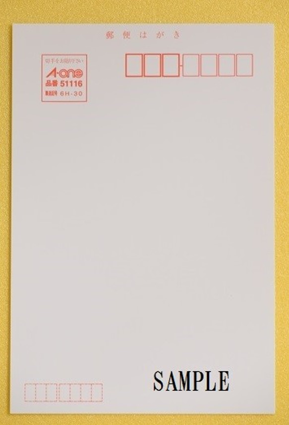 019)カラフルなポインセチアの花　ポストカード５枚組 6枚目の画像
