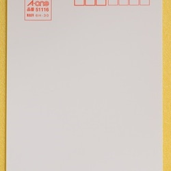 028)秋便り　秋桜のポストカード５枚組 6枚目の画像