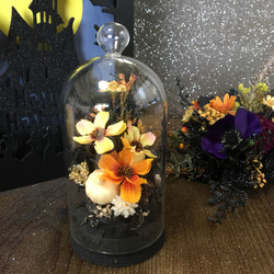 1_31eb06f3cd40da9fab75f48bf503