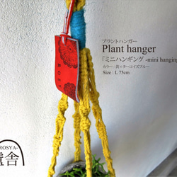 プラントハンガー[ ミニハンギング -mini hanging- N°01 白×青 ] （コットン）マクラメ ハンギング 3枚目の画像