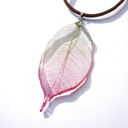 Olive Green ＆ Wine Led Gradation Leaf Pendant 2枚目の画像