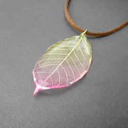 Olive Green ＆ Wine Led Gradation Leaf Pendant 5枚目の画像