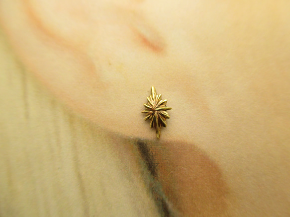 明星大象耳環[sv950黃銅]套裝 第3張的照片