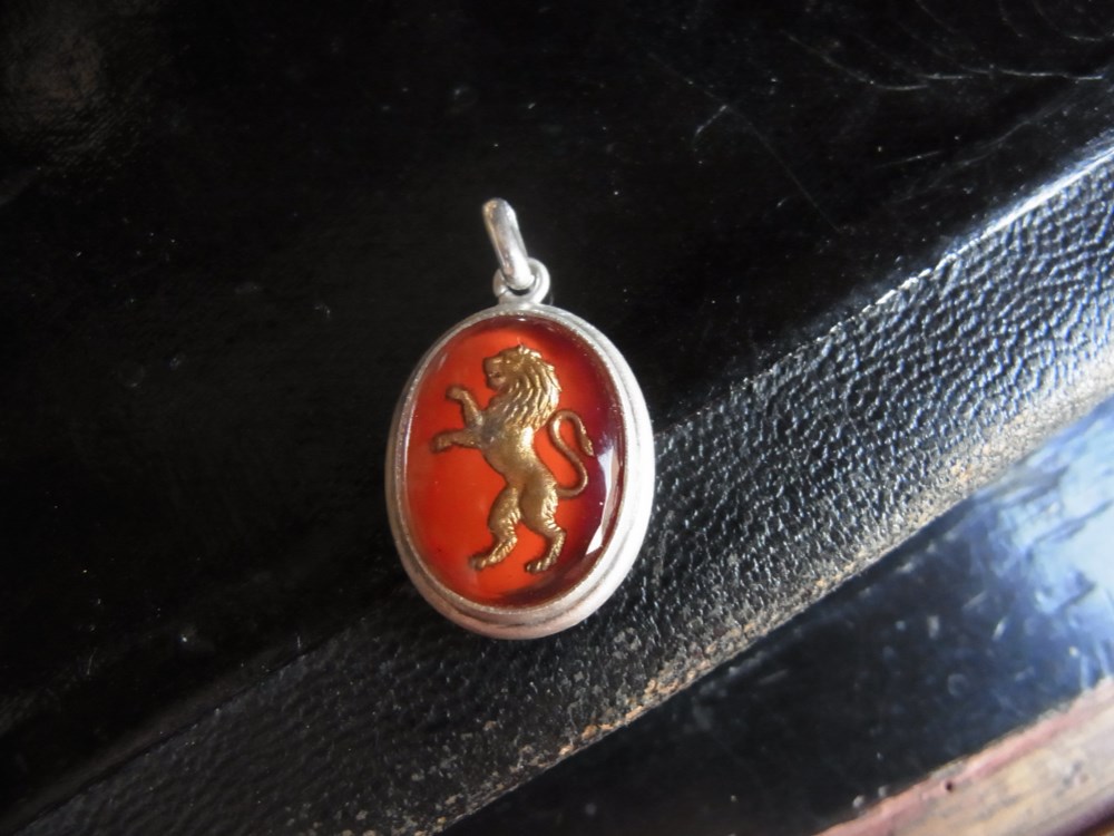 SVのライオンのトップ・赤