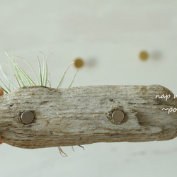 poklon~流木とエアープランツの壁掛け～ 5枚目の画像