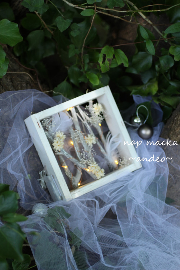 andeo~光のフレームアレンジ～ 1枚目の画像