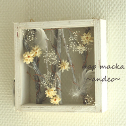 andeo~光のフレームアレンジ～ 5枚目の画像