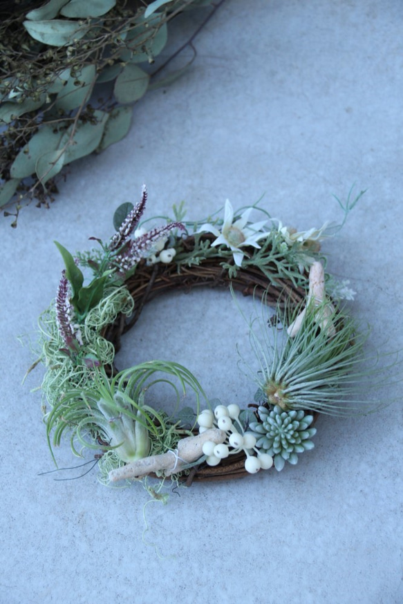 エアープランツのボタニカルリース～prsten~ 1枚目の画像