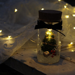 【クリスマス限定】boca~ドライフラワーのボトルランプ　tree～ 3枚目の画像
