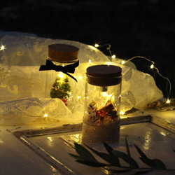 【クリスマス限定】boca~ドライフラワーのボトルランプ　tree～ 8枚目の画像