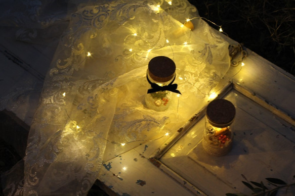 【クリスマス限定2個セット】boca~ドライフラワーのボトルランプ～ 2枚目の画像