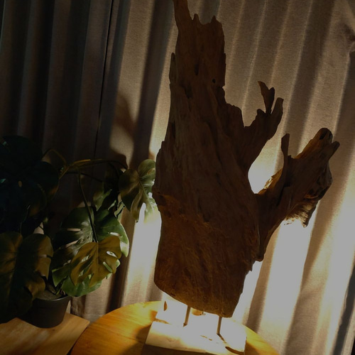 瘤のオブジェ・木製・無垢・天然木・切り株・飛騨産 瘤のオブジェ・木製・無垢・天然木・切り株・飛騨産 瘤の
