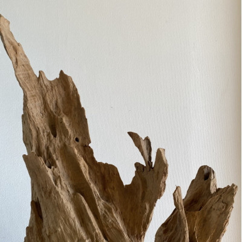 オブジェ 照明 間接照明 チークウッド 切り株 木製 インテリア