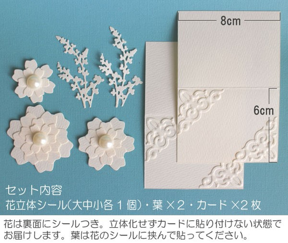  第4張的照片