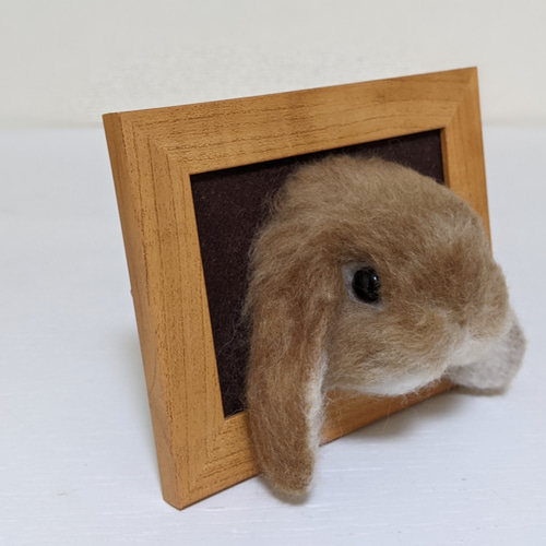 ホーランドロップ（うさぎ）リンクス フレーム 羊毛 羊毛フェルト  