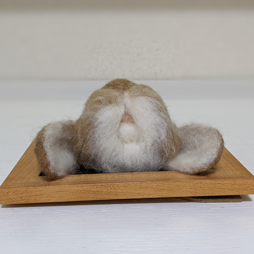ホーランドロップ（うさぎ）リンクス フレーム 羊毛 羊毛フェルト  