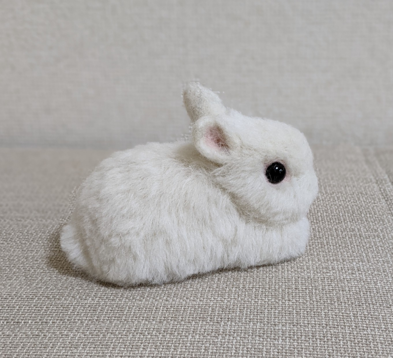 ネザーランドドワーフ（うさぎ）フロスティ ベビー 羊毛フェルト