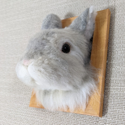 1_60f02b692a0568bd1f331992720a