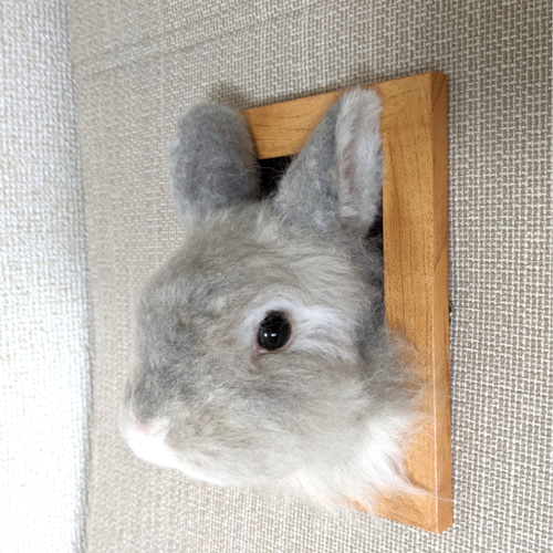 ネザーランドドワーフ（うさぎ）グレー大 フレーム 羊毛フェルト