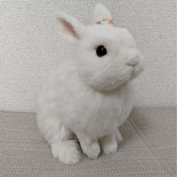 羊毛フェルト うさぎ ネザーランド・ドワーフ ハンドメイド ぽぽ 羊毛フェルト うさぎ ネザーランド・ドワーフ ハンドメイド ぽぽ