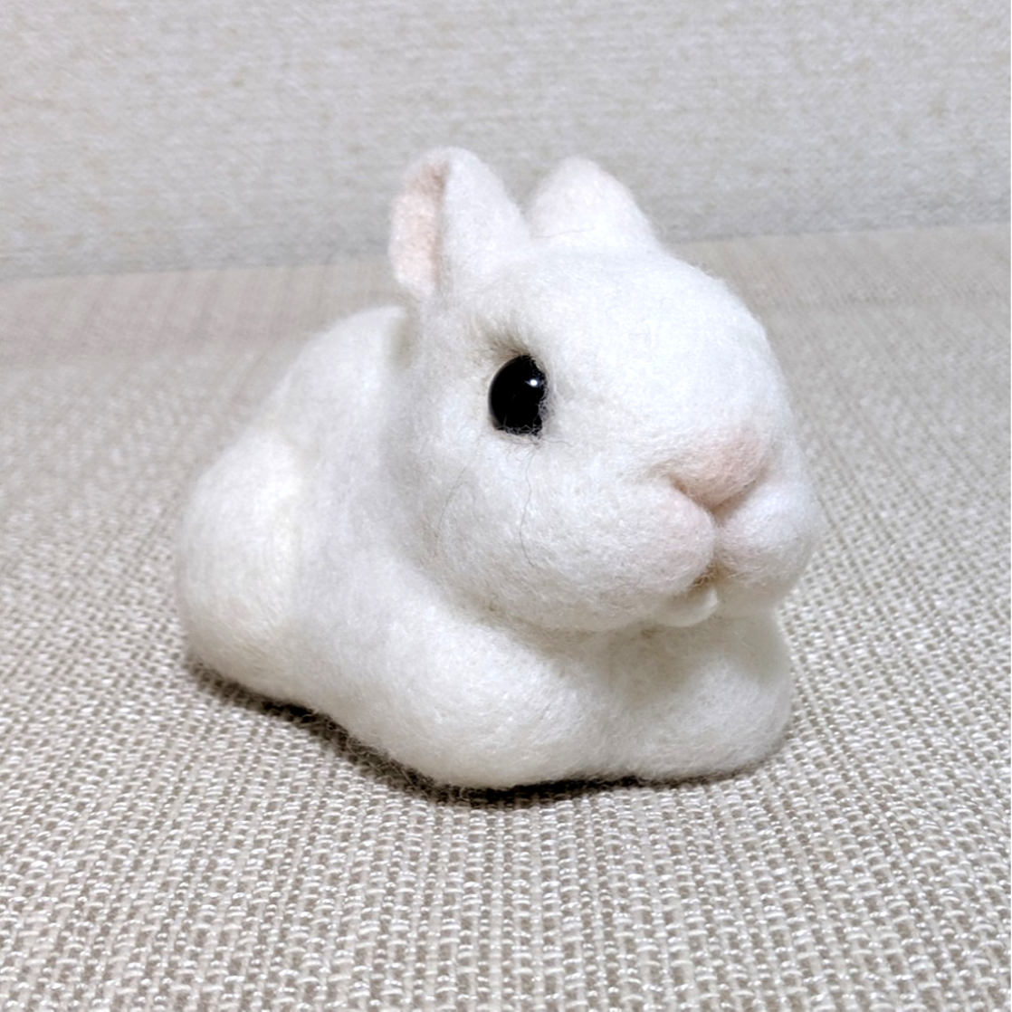 香箱座りのネザーランドドワーフ（うさぎ） フロスティちゃん