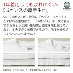 送料無料☆【Tシャツ】風吹くままに 5.6oz Cotton:100% 3枚目の画像