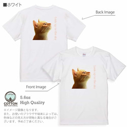 送料無料☆【Tシャツ】天を仰ぐ猫　5.6oz Cotton:100% 7枚目の画像