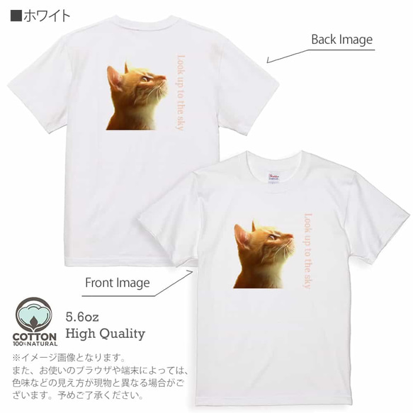 送料無料☆【Tシャツ】天を仰ぐ猫　5.6oz Cotton:100% 7枚目の画像