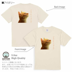 送料無料☆【Tシャツ】天を仰ぐ猫　5.6oz Cotton:100% 10枚目の画像