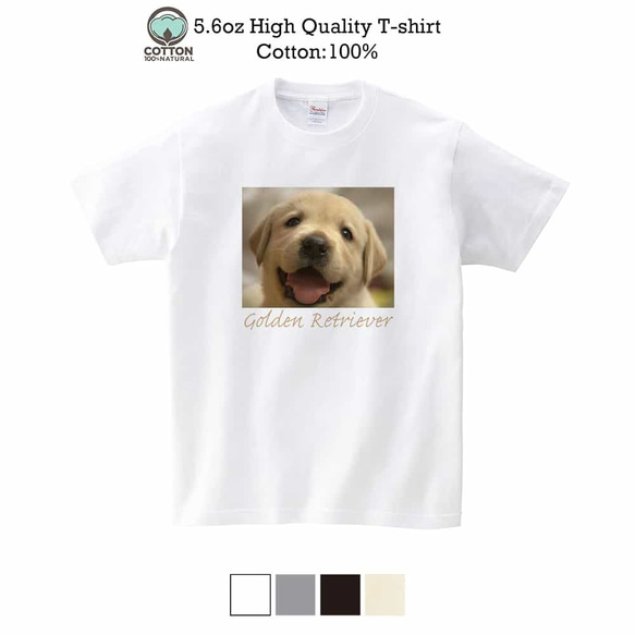 送料無料☆【Tシャツ】ゴールデンレトリバーの子犬 5.6oz Cotton:100% 1枚目の画像